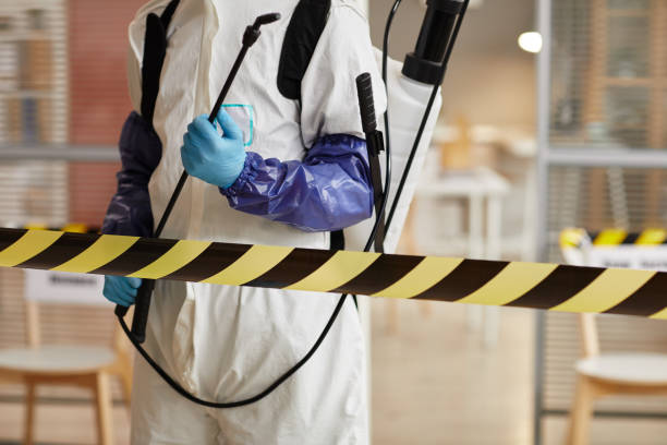 Professional Sewage Cleanup technician working in Madison, NJ
